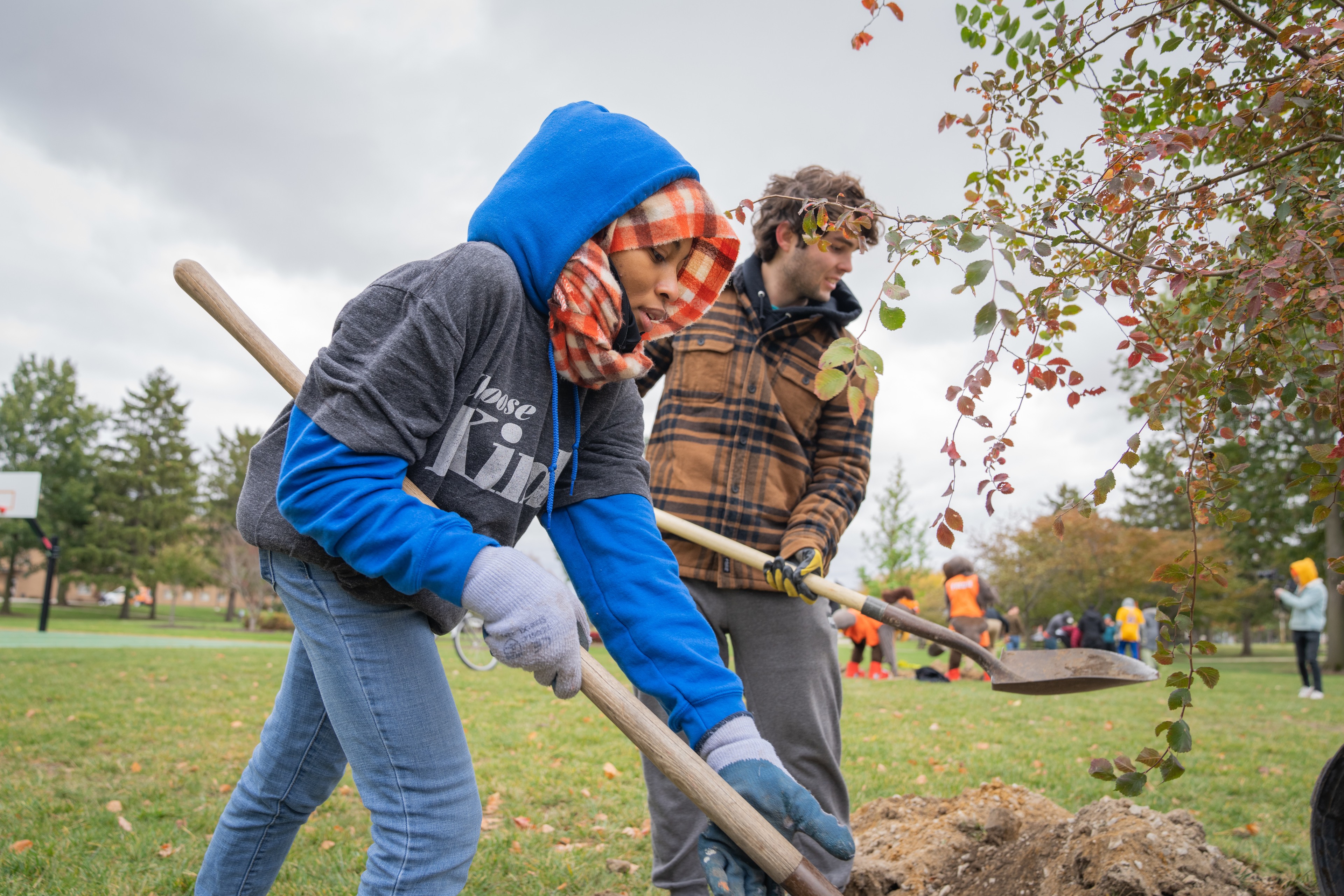 Tree Planting Service Project