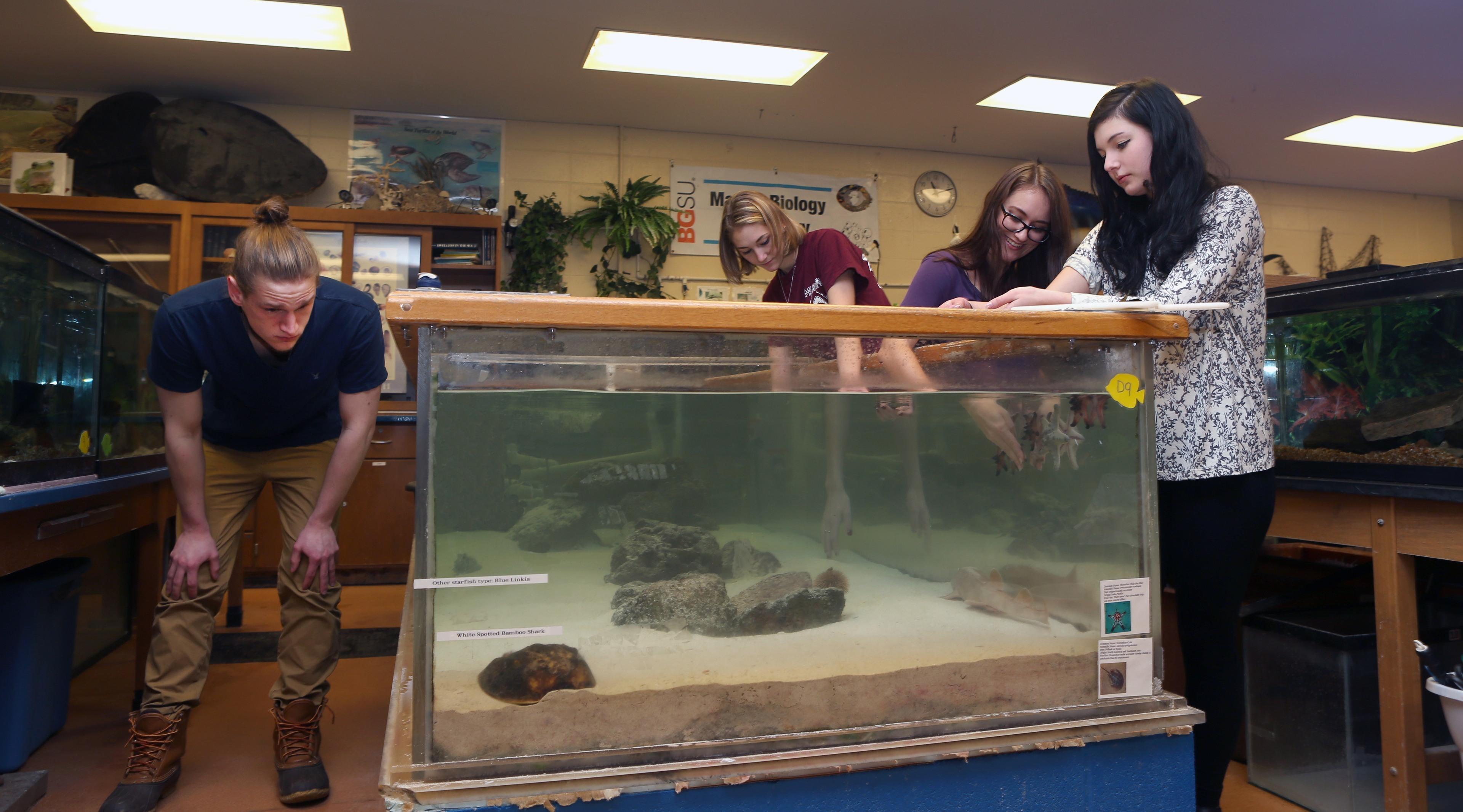 Marine and Biology students observe a tank in a lab
