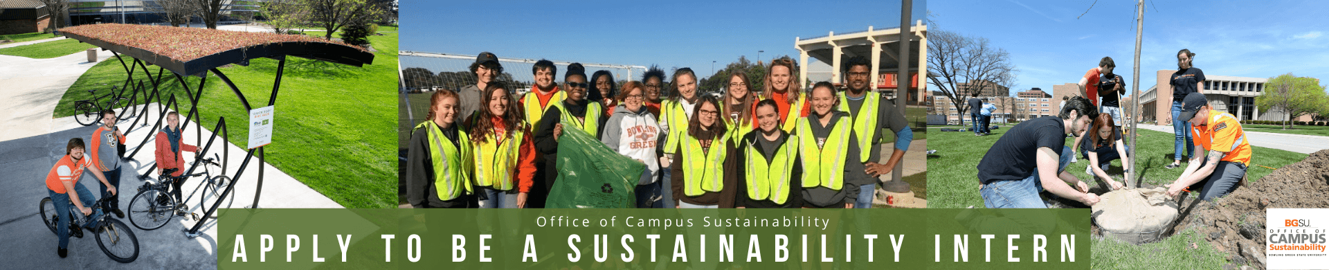 Internship-Sustainability