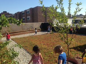 green-roof