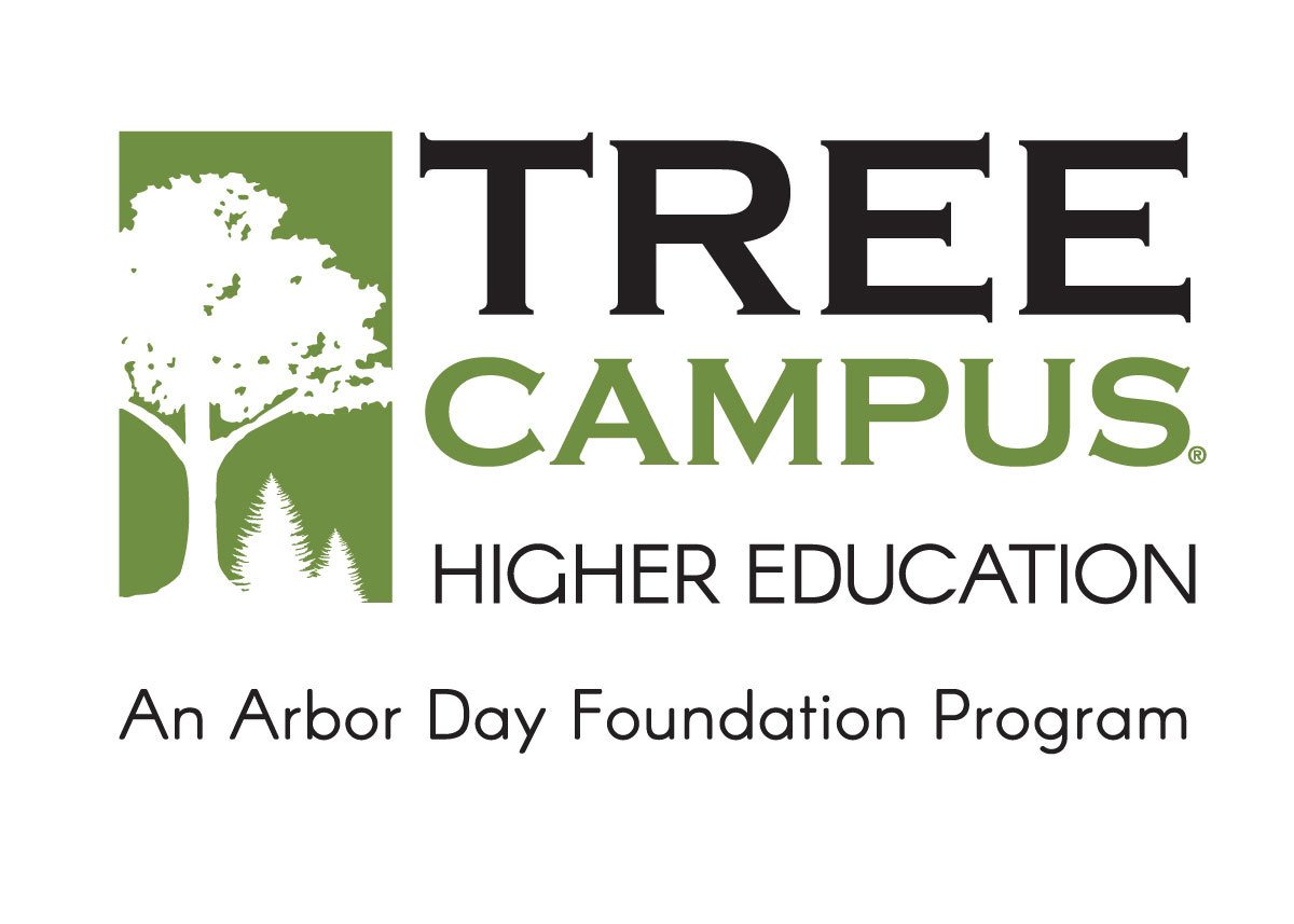 TreeCampus-HigherEd-Logo