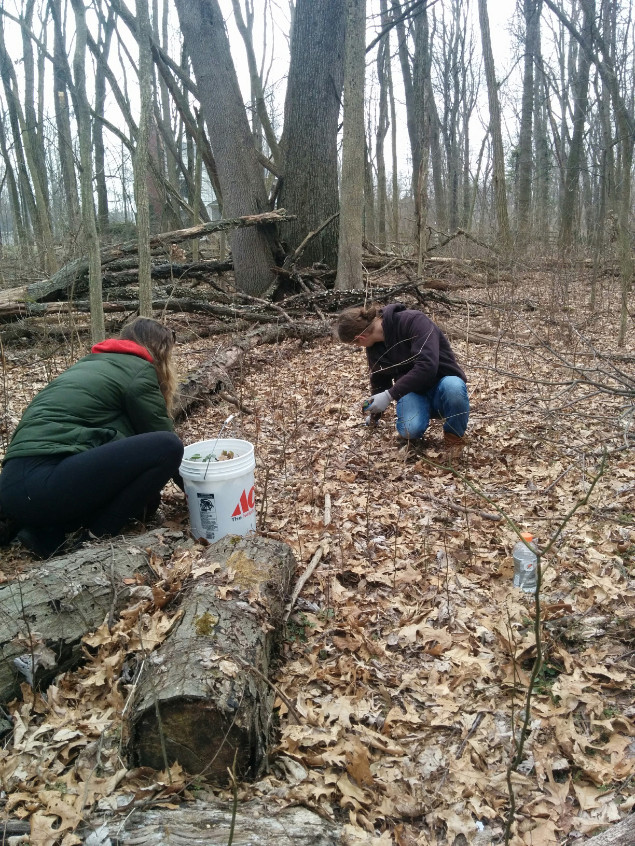 Environmental-Studies-Class-Service-Learning-Field-Trip