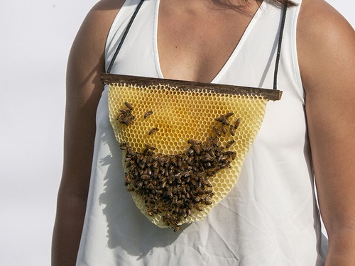 Beekeeper's Neckpiece