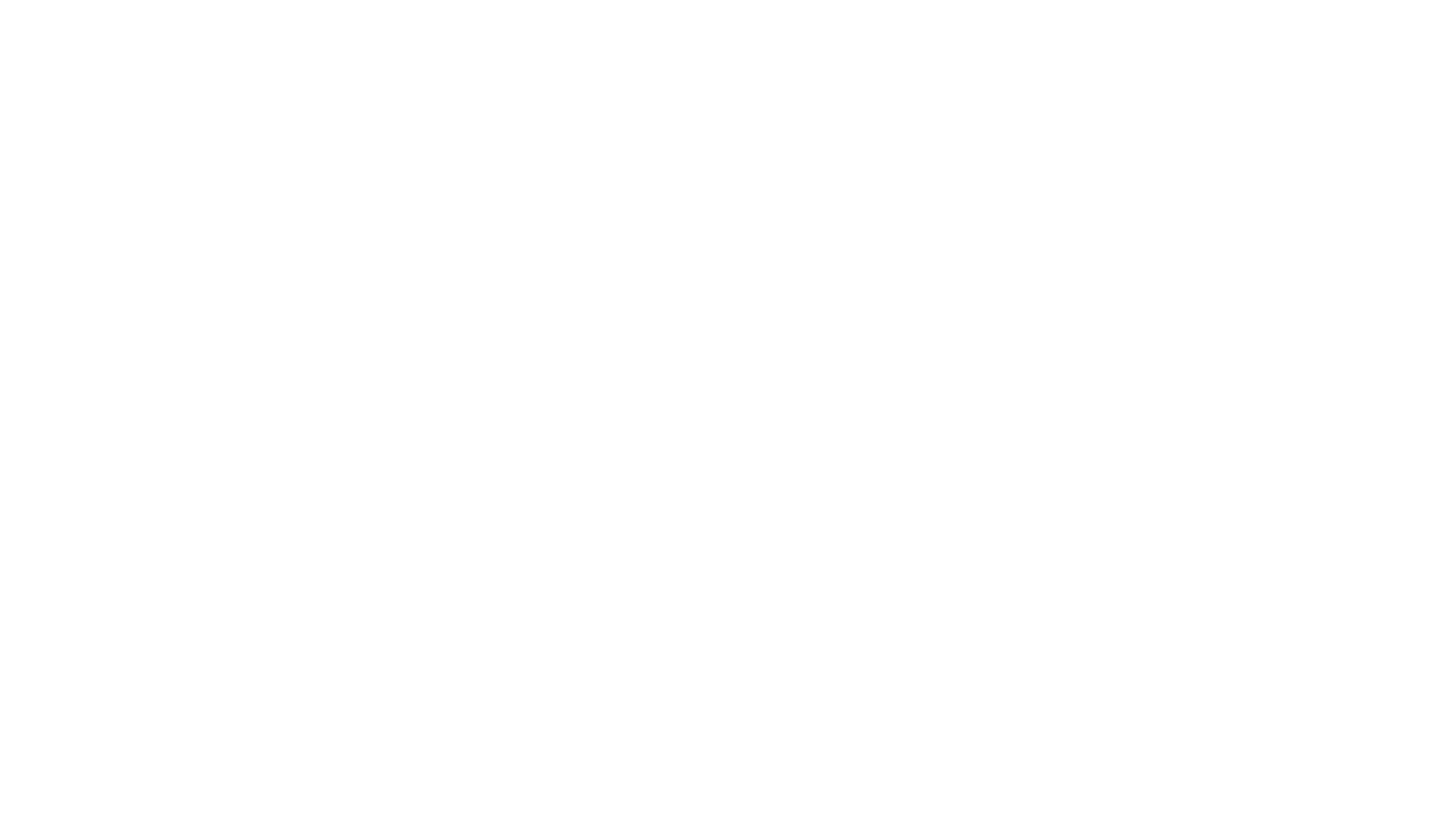 Falcon Fan Frenzy