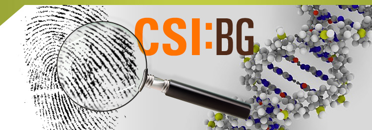 CSI-BG