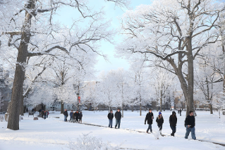 BGSU students aren't intimidated by cold temperatures.