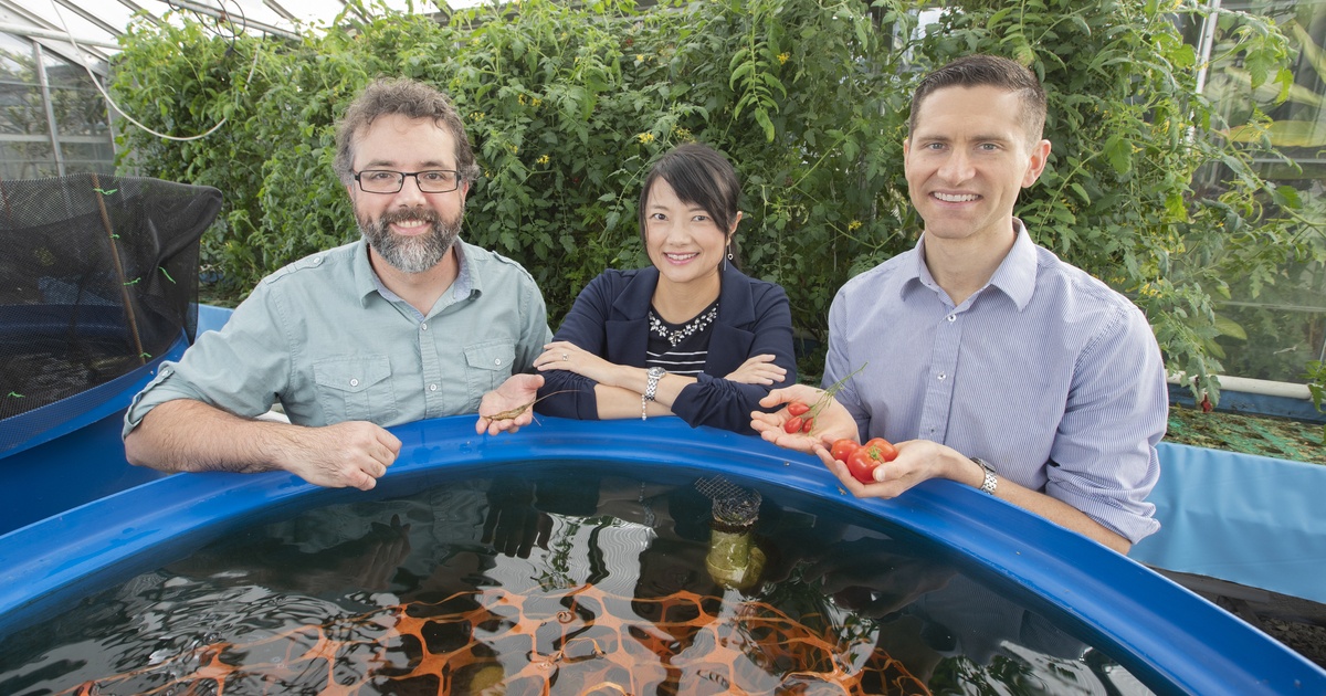 BGSU researchers receive NOAA grant for aquaponics