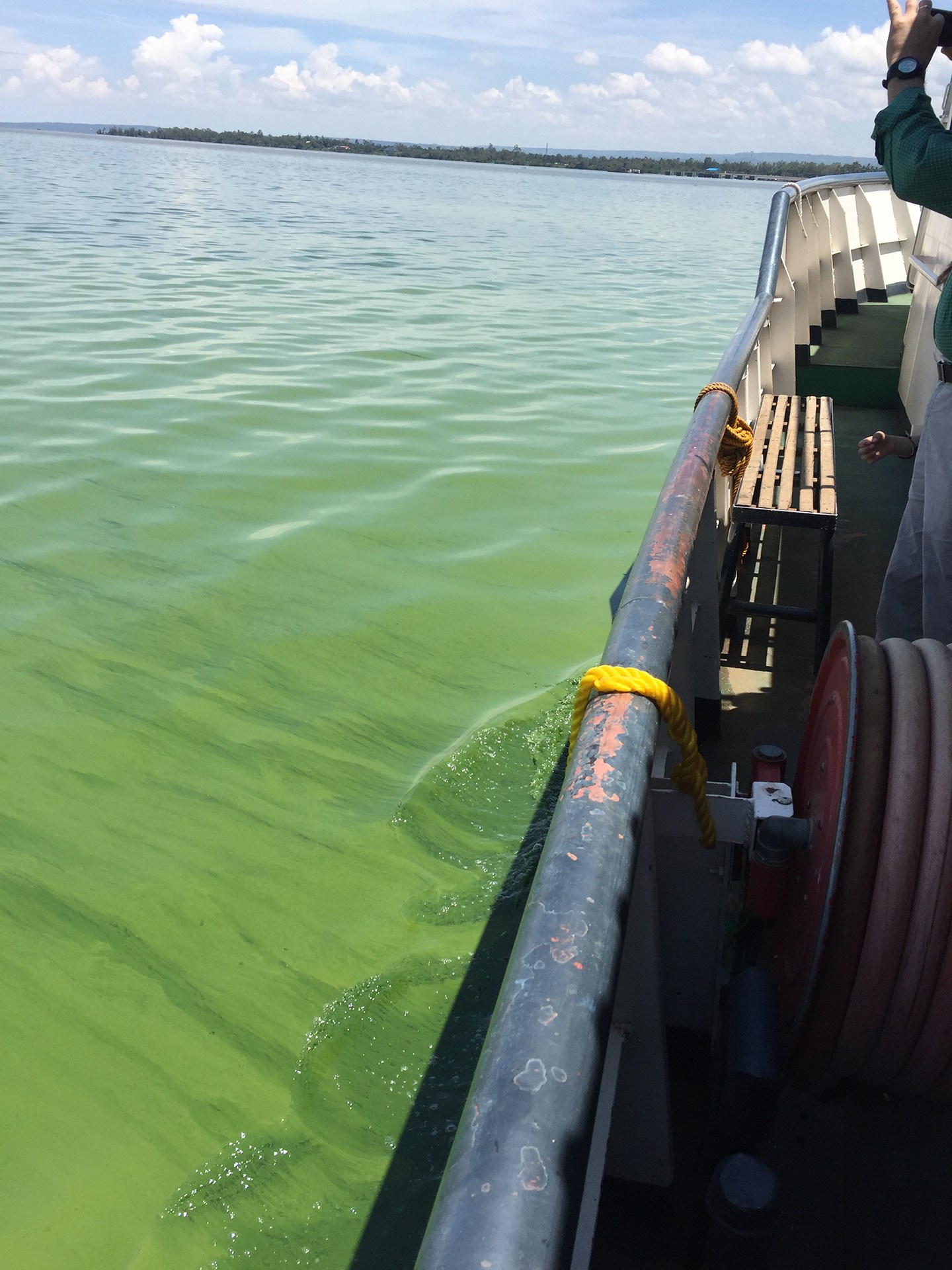 Aerial view of Lake Erie looking over boat