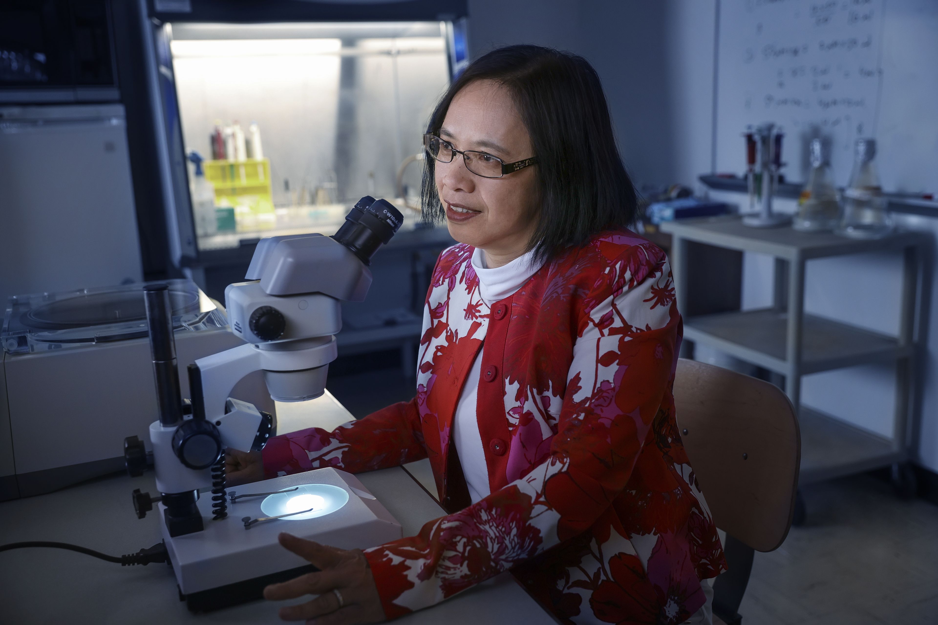 Dr. Vipa Phutumart analyzing cells under microscope