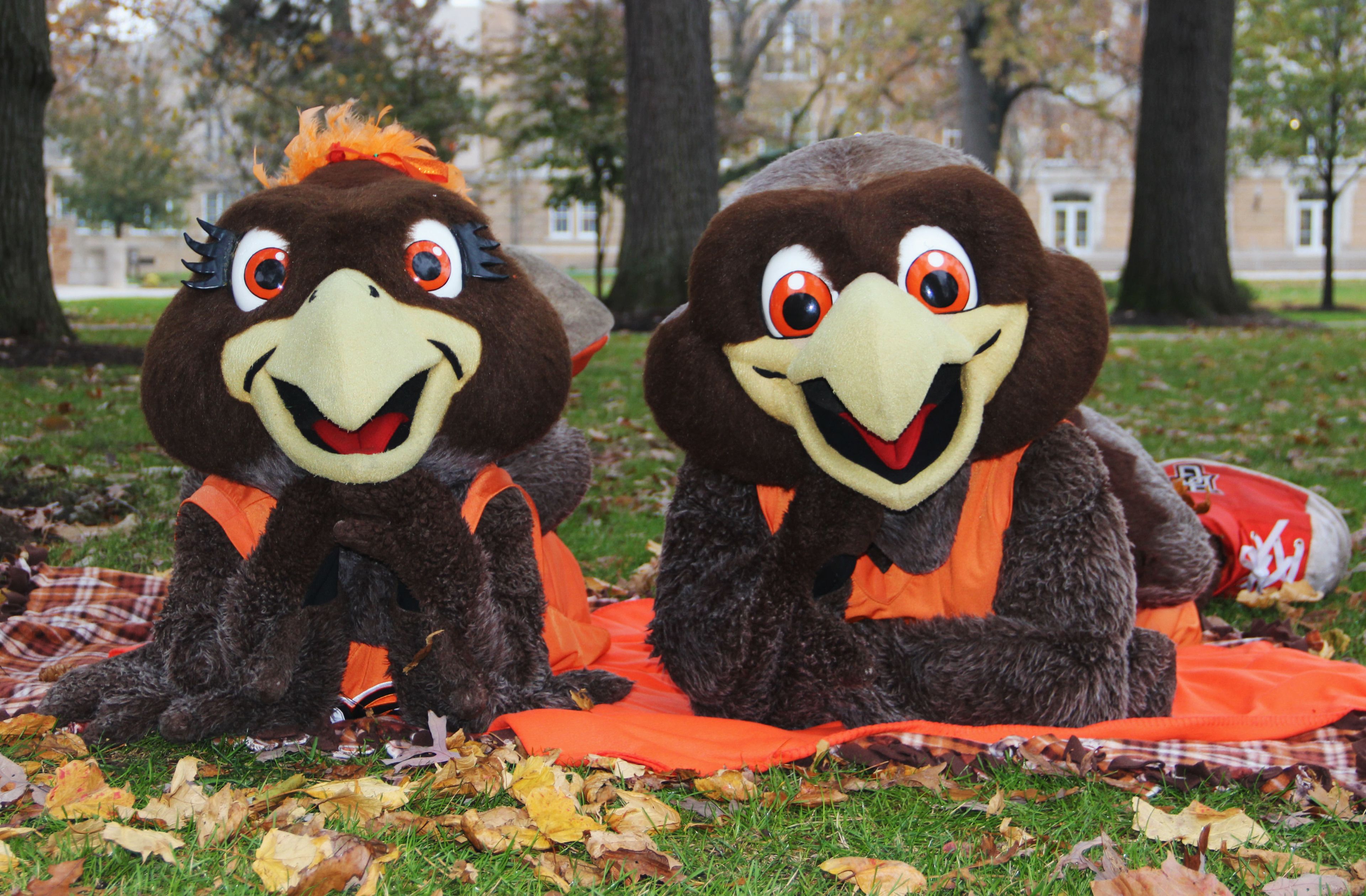 Freddie and Frieda laying down on BGSU campus