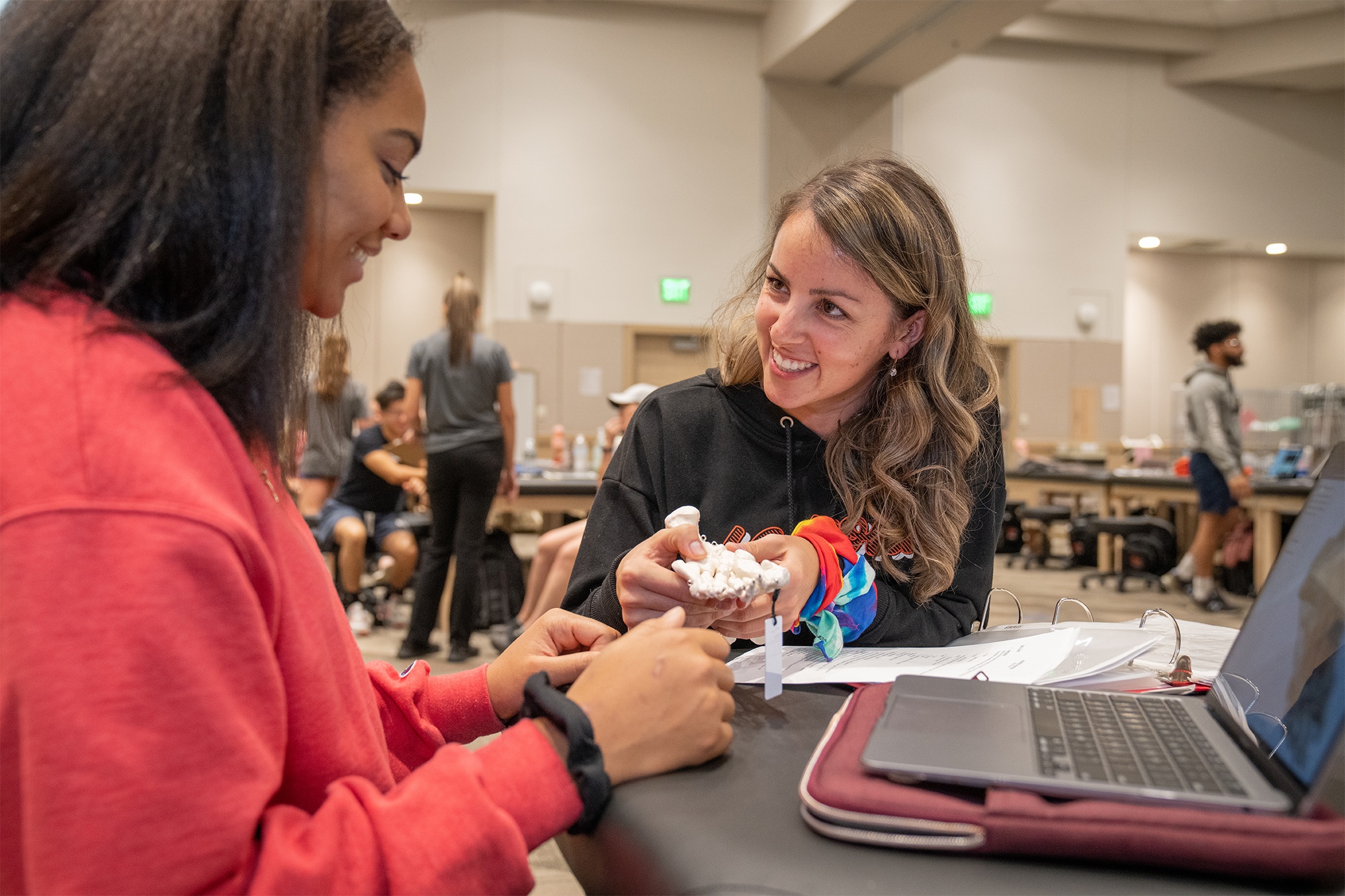 Jazilee Williams and Tedi Bunch review foot and ankle anatomy as members of the first cohort of the new hybrid, accelerated Doctor of Physical Therapy (DPT) program at Bowling Green State University. 