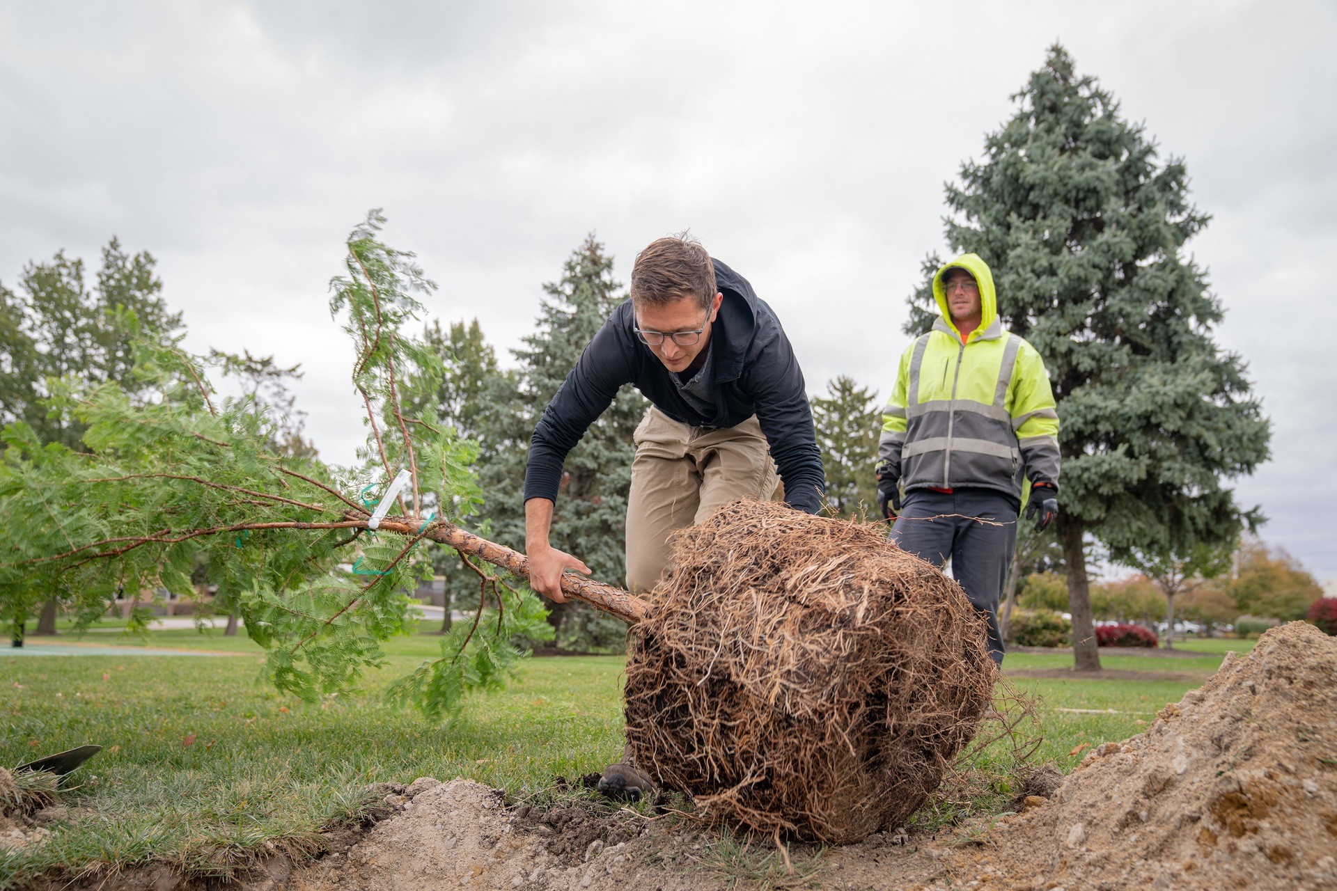 A student is planting a tree.