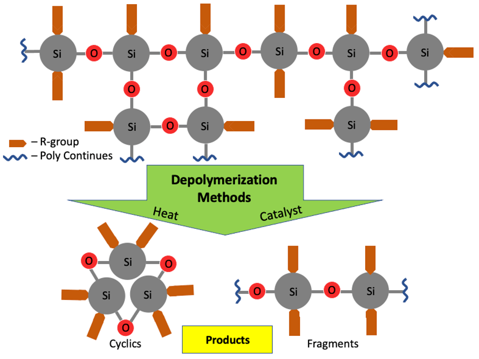 A diagram shows the depolymerization process, in which a polymer’s bonds are separated into a monomer or series of monomers. 