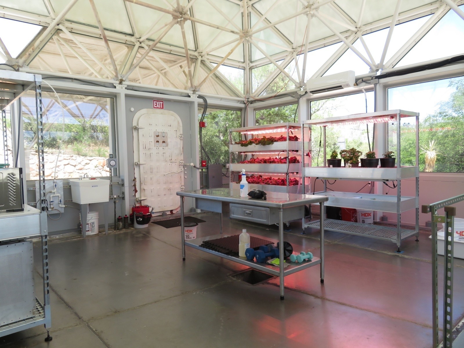 A close-up of a hydroponics system in the greenhouse of the Space Analog for the Moon and Mars. The system is made up of shelves with trays of plants. The plants are growing in a nutrient solution. A light is shining down on the plants.