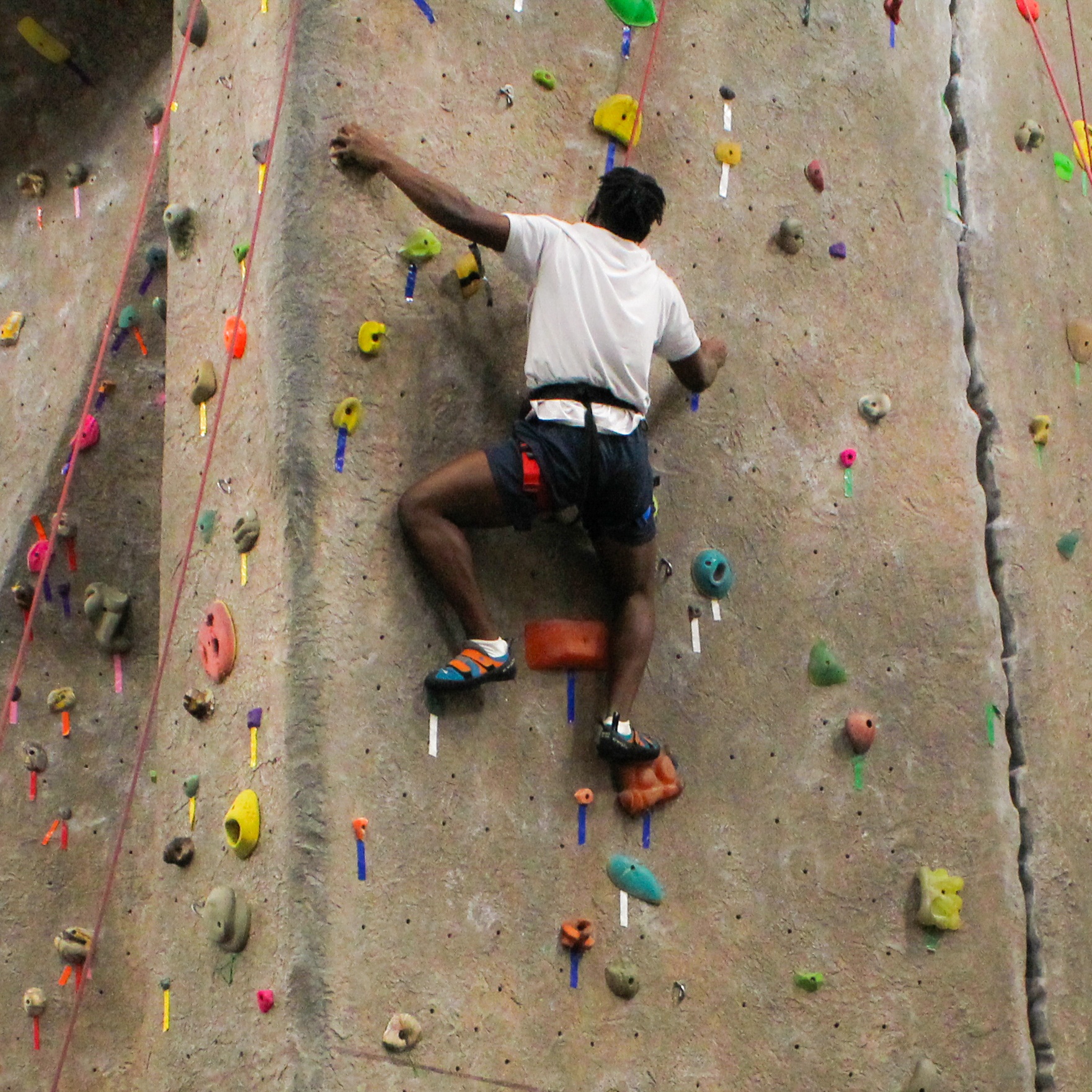 Adult using the climbing wall with left hand raised up on a hold, wearing a white shirt, climbing harness, and black shorts. 