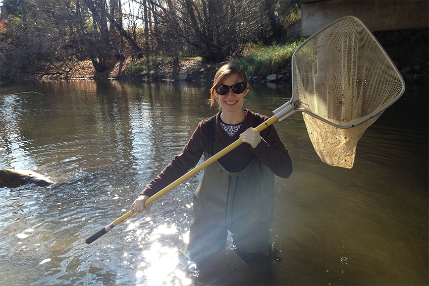 Audrey-in-stream