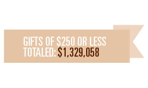 Gifts-of-250-or-less-totaled-1329058
