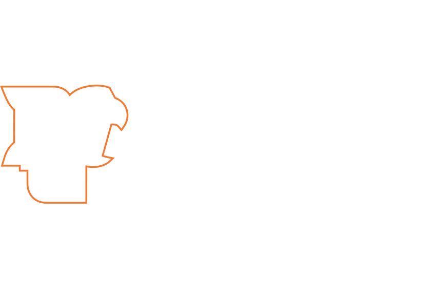 144 Student - Athletes with 4.0 Spring Term GPA