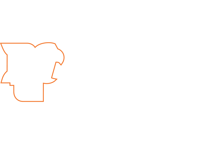 334 Student-Athletes with 3.0 or Higher  Cumulative GPA