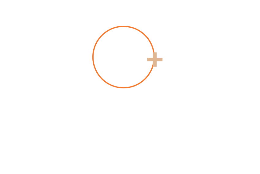 80+ Different Majors or Programs of study