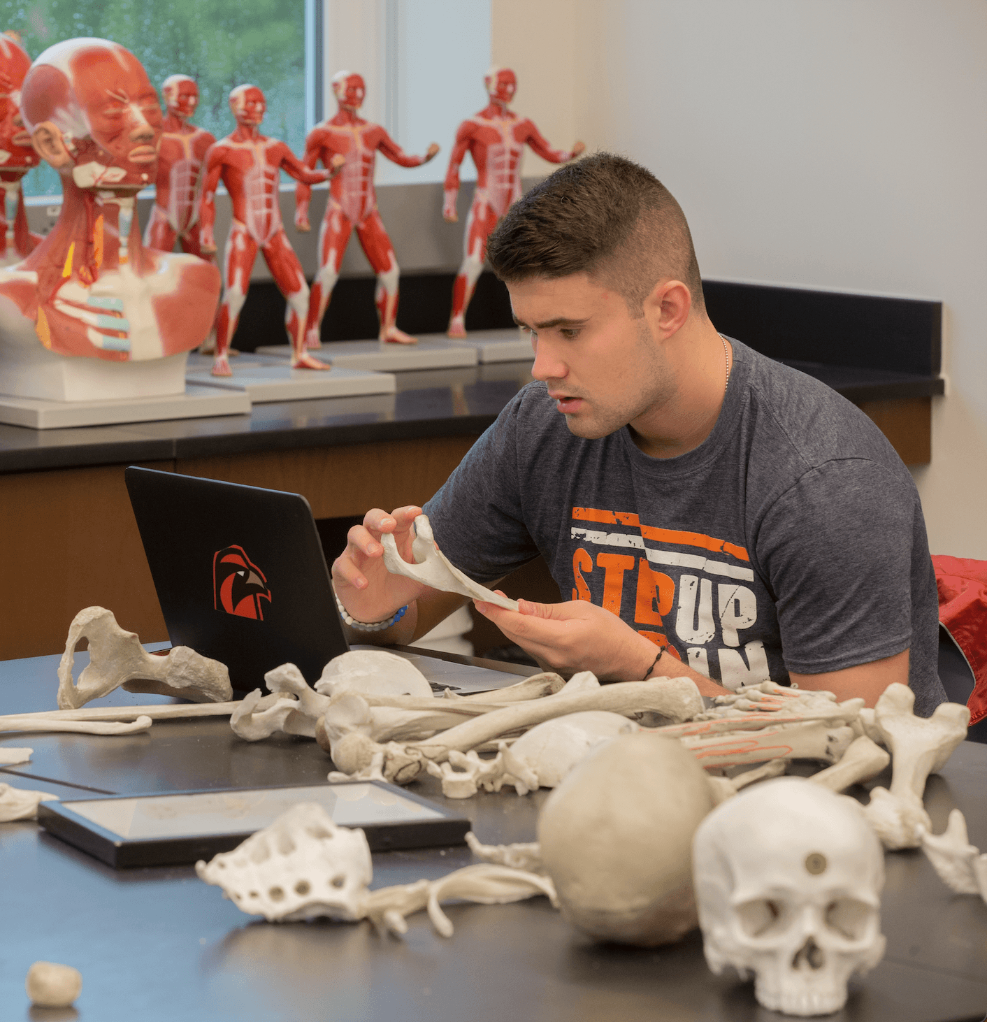 A student reviews skeleton bones for anatomy class. BGSU has a variety of pre-professional experiences on campus for pre-med students.