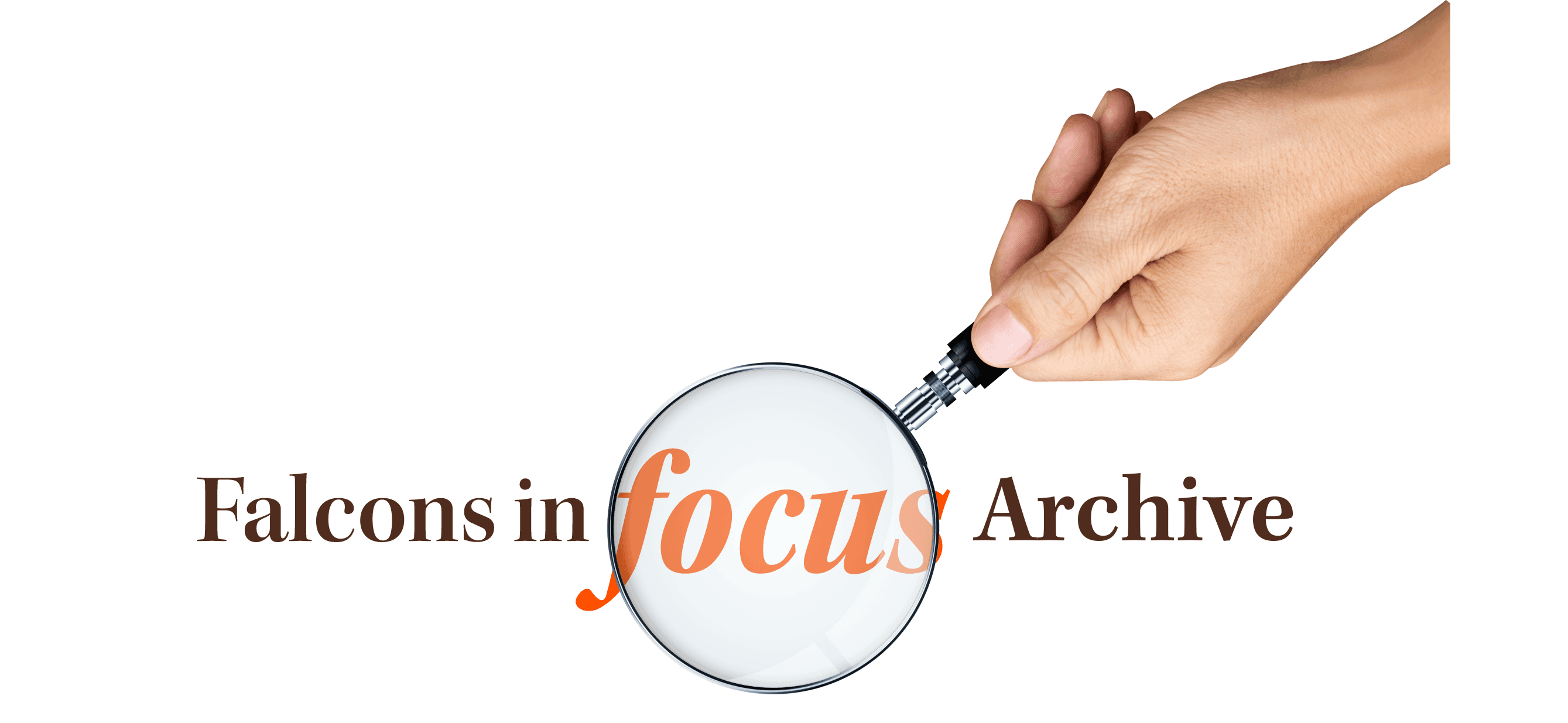 Falcons in Focus