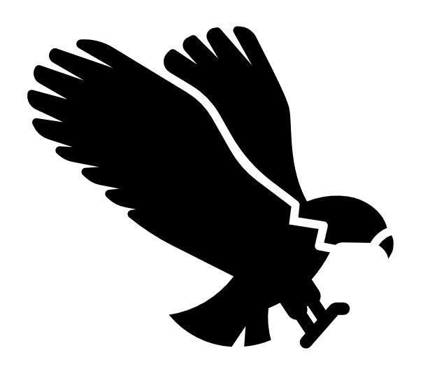 Black graphic design of a falcon in flight