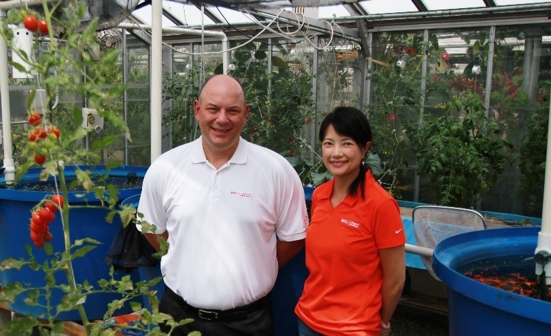 Photo of Jeff Meyer and Fei Weisstein in a greenhouse with aquaponics fish tanks growing tomatoes on campus at BGSU