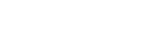 allen w and carol m schmidthorst college of business logo reverse white