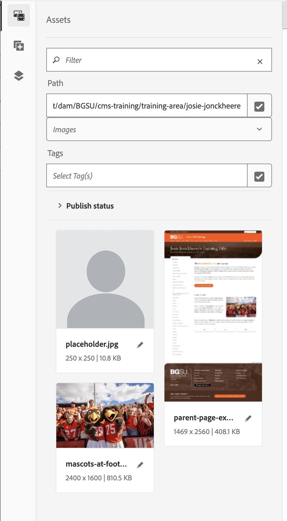 folder-assets-side-panel