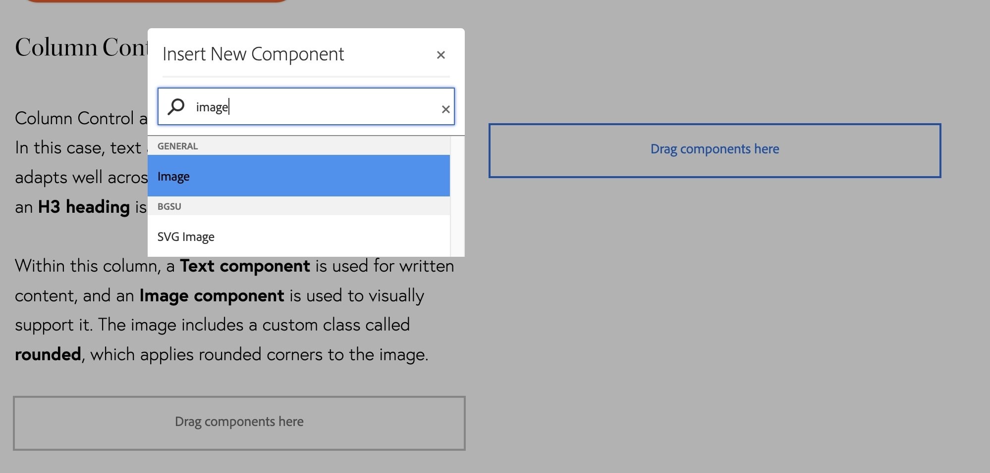 insert-image-component