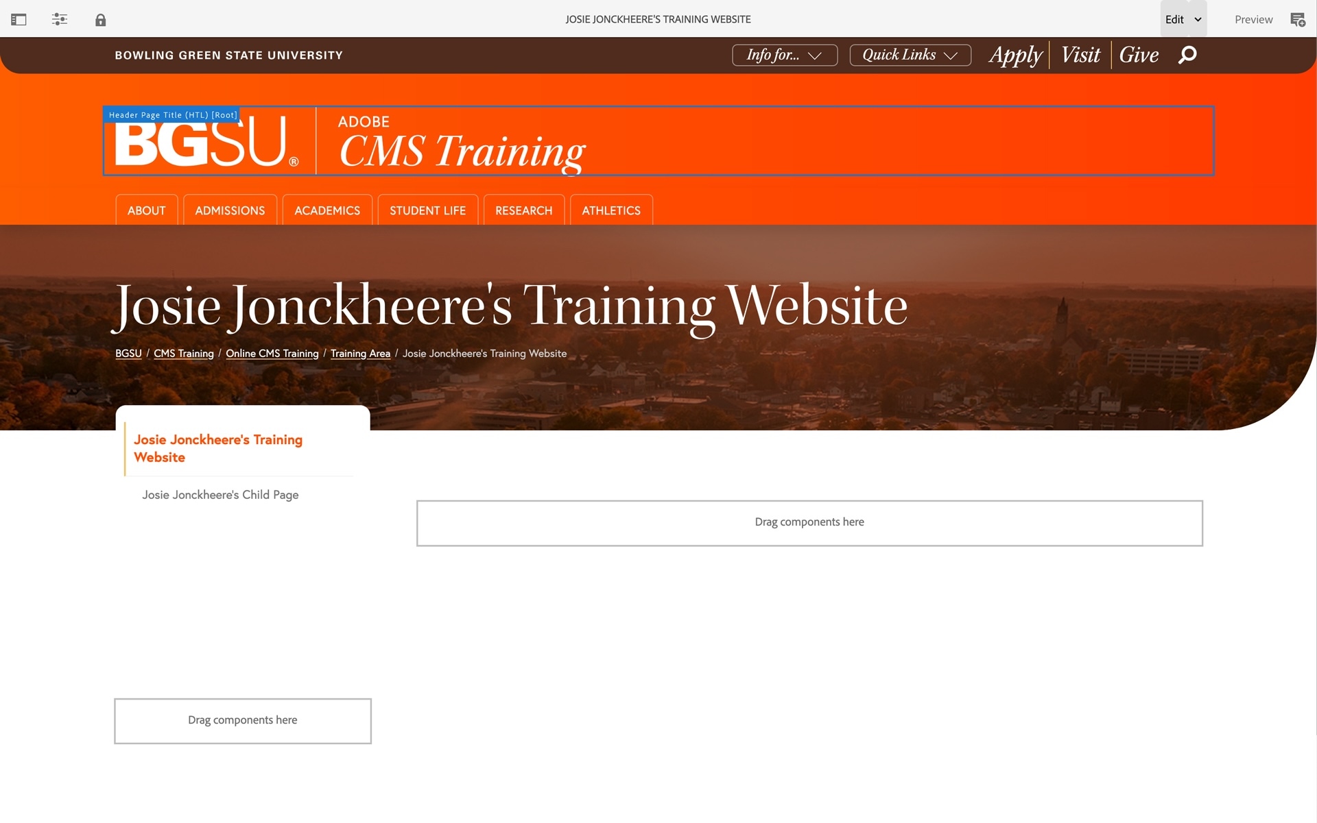 training-website-editor