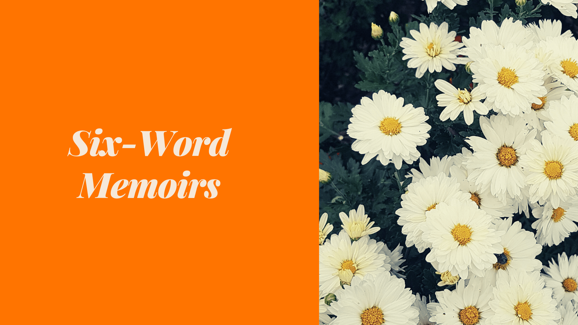 Six-word Memoirs appears on the left side of the image on an orange background; the right side of the image is a picture of some flowers