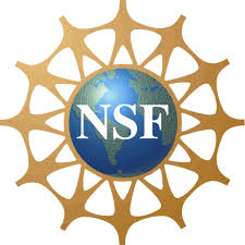 NSF image
