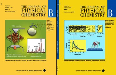 The journal of chemistry book cover