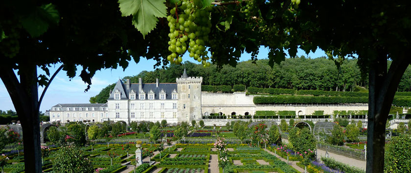 HOME-BANNER---Chateau-de-Villandry-kitchen-garden-2