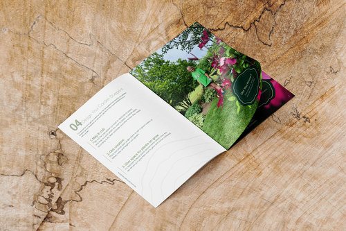 Plant Native Plants