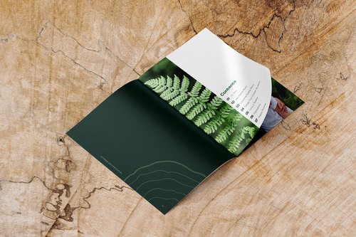 Plant Native Plants