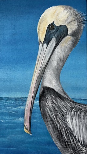 Cousino Venice Pelican