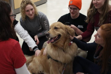 Therapy-dogs-at-Jerome-golden-360x240