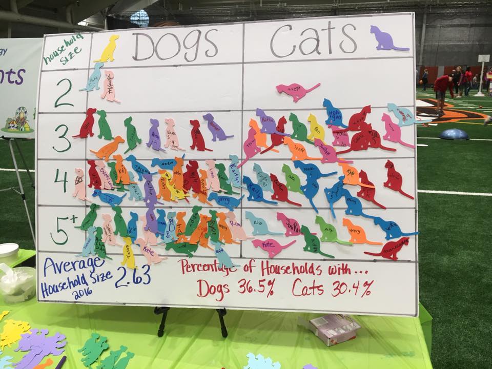Cats Dogs Data Photo