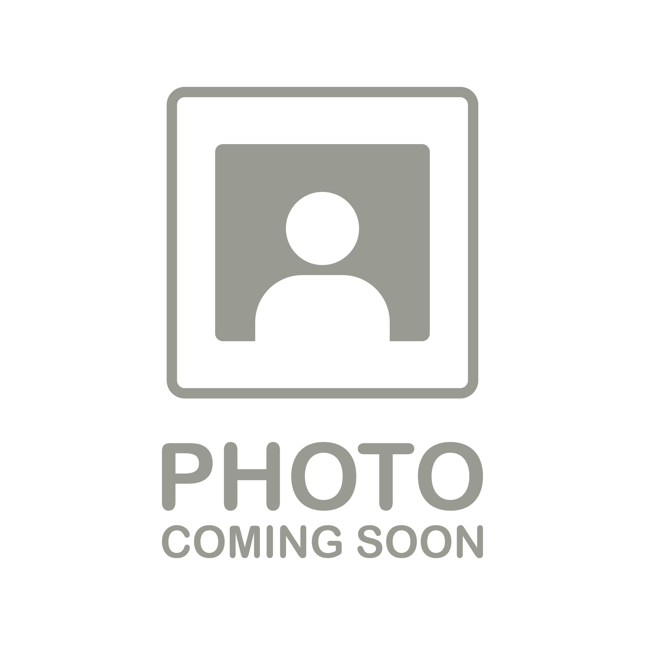 Photo coming soon. No photos yet. Photo button. No images yet. Vector