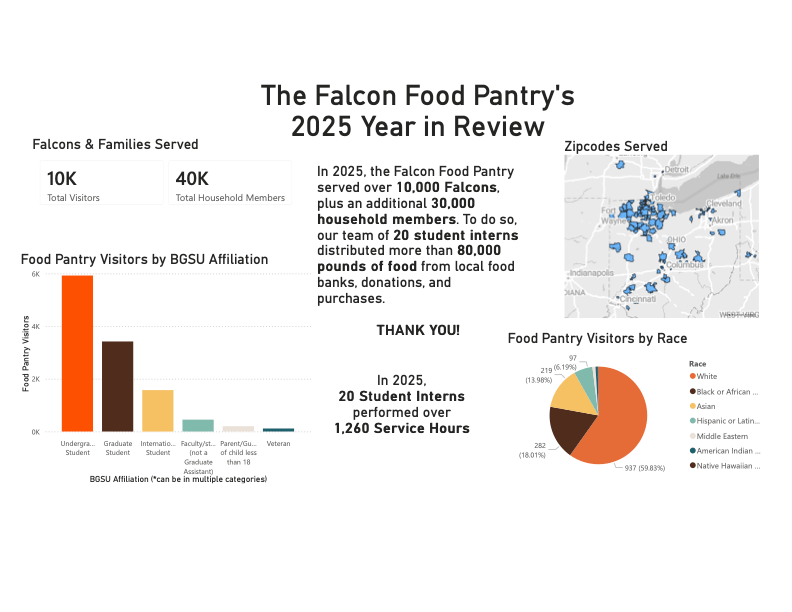 falcon-food-pantry-2025-power-bi-copy