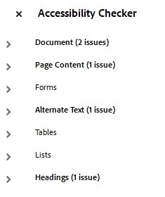 Accessibility Checker with items in bold that have issues including Document, Page Content, and Alternate Text, and Headings in this screen shot 