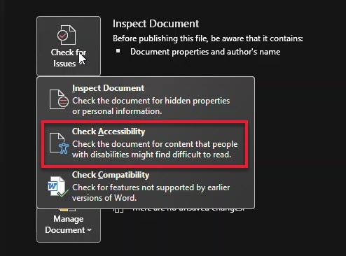 "Check for Issues" has a drop down that includes "Inspect Document", "Check Accessibility", and "Check Compatibility"