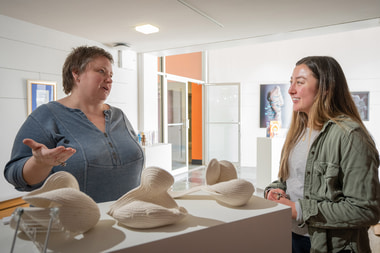 Art of Diversity for the Public Good