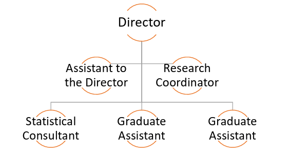 Organizational chart featuring a Director at the top. Below are Assistant to the Director and Research Coordinator, leading to Statistical Consultant and two Graduate Assistants.