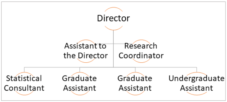 Organizational chart showing hierarchy: Director at the top, followed by Assistant to the Director and Research Coordinator, then various assistants below.
