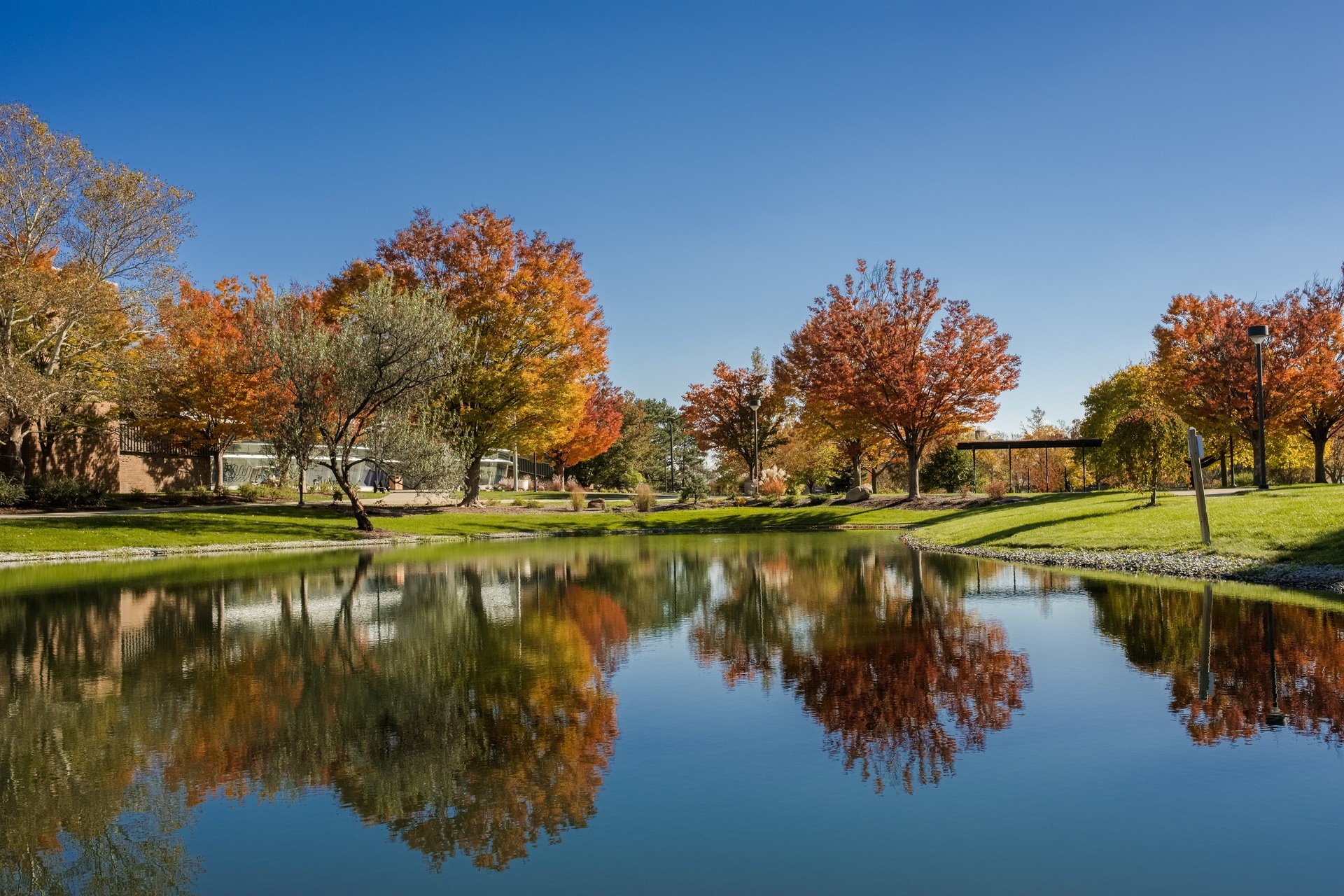fall-trees-with-water-reflection