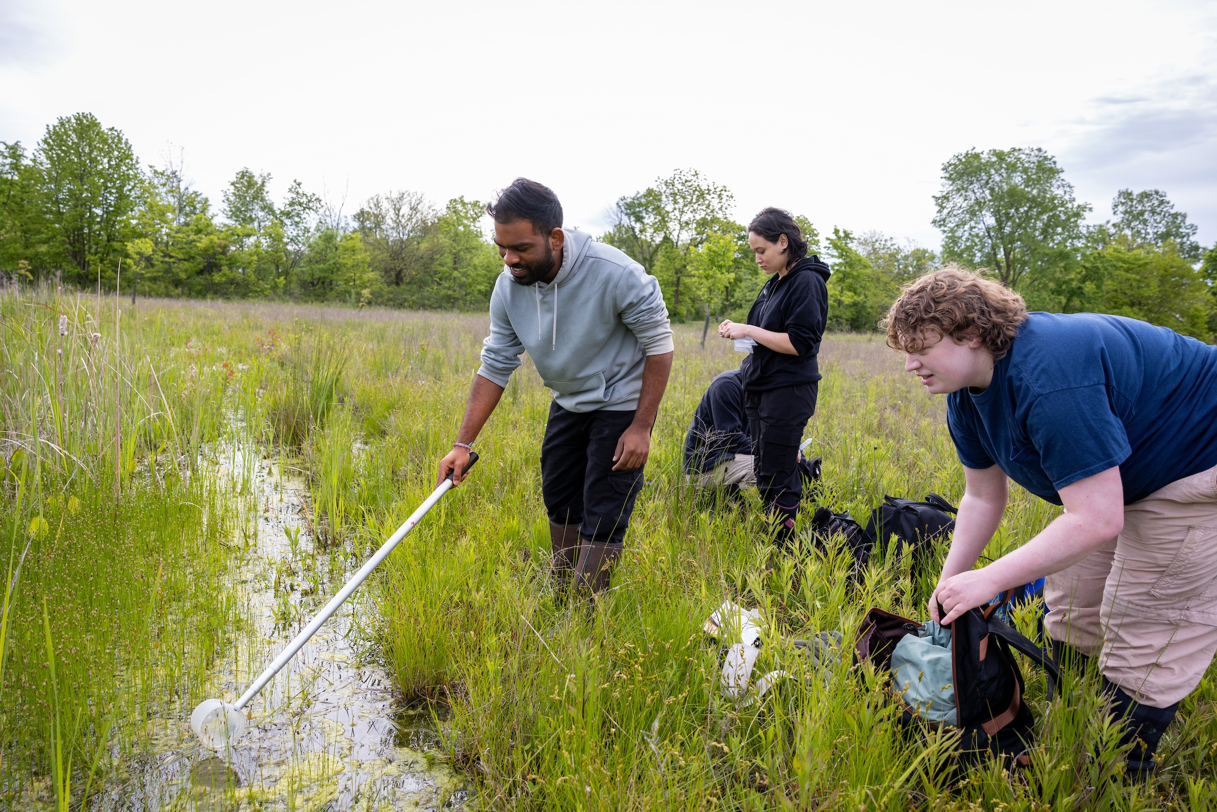 Wetlands Water Quality Research